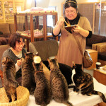 動物のための東京カフェ、人が集中する