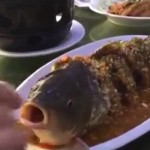 生きている英国魚のフライにあるレストラン