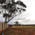 オーストラリアの「イクラ」村は最初のイスラム教徒の住宅団地の設立を発表しました