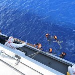 地中海で過去1週間の移民の沈没船は700人以上が死亡していると懸念されています