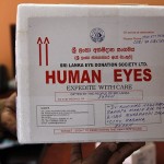 視力の贈り物：目を世界に輸出する国