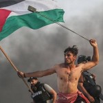 手の中の石と手の中のパレスチナの旗若い若いアブ・ウムロ
