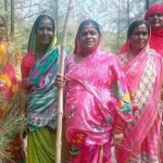 インドのオディシャ州の75人の女性グループが昨年75ヘクタールの森林を保護しています